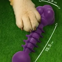 Жевательная игрушка для собак &laquo;Спортсмен&raquo;, 15.5 см, TPR, фиолетовая