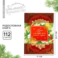 Родословная книга новогодним пояском «Новый год: Дед мороз», 16,5 х 24 см.