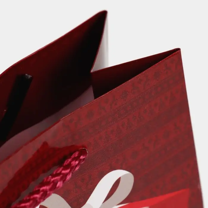 Пакет подарочный новогодний ламинированный «Для тебя», S 12 х 15 х 5.5 см Пакет подарочный новогодний ламинированный «Для тебя», S 12 х 15 х 5.5 см