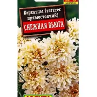 Семена цветов Бархатцы Снежная вьюга , Ц/П,7 шт.