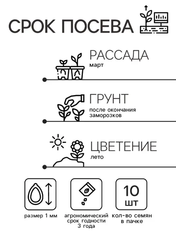 Семена цветов Катарантус  Семена цветов Катарантус "Казанова", 10шт