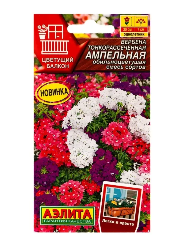 Семена цветов Вербена Ампельная обильноцветущая, смесь сортов Цветущий балкон, Ц/П,30 шт. Семена цветов Вербена Ампельная обильноцветущая, смесь сортов Цветущий балкон, Ц/П,30 шт.
