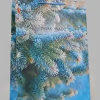 Пакет подарочный &laquo;Пора чудес. Заснеженная ель&raquo;, 33&times;10&times;42.5 см