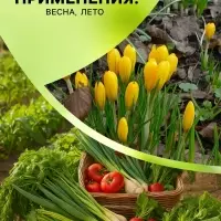 Средство от болезней растений &laquo;Флагрин-Д&raquo; (Нематодин), 100 г