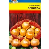 Семена Лук шалот &laquo;Бонилла&raquo;, F1, 0.1 г, &laquo;УРОЖАЙ УДАЧИ&raquo;