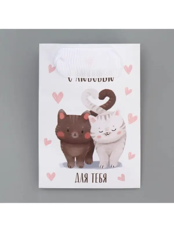 Пакет подарочный ламинированный, упаковка, «Котики», 7×10×7 см Пакет подарочный ламинированный, упаковка, «Котики», 7×10×7 см