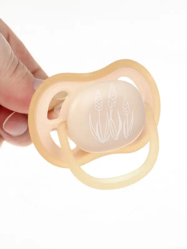 Соска-пустышка светящиеся, набор из 2 шт., силикон, +6 мес., в контейнере «Dream» Соска-пустышка светящиеся, набор из 2 шт., силикон, +6 мес., в контейнере «Dream»