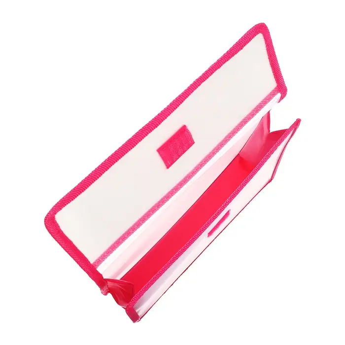 Папка для тетрадей, А5, пластиковая, 23&times;19&times;5 см &laquo;Аниме подружки&raquo;