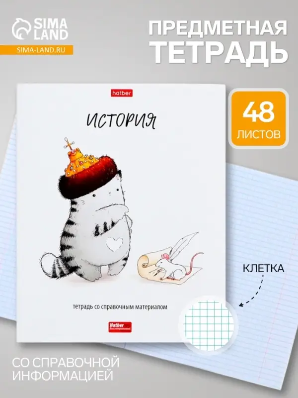 Предметная тетрадь по истории Hatber &laquo;Приключения кота Пирожка&raquo;, 48 листов, в клетку, со справочным материалом, обложка из мелованной бумаги