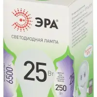 Лампа светодиодная LED 25 Вт 2500Лм 6500К груша холодный E27 220-240В LED A60-25W-865-E27 Green Line