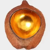 Чаша из кокоса, 18&times;18&times;10 см, бежево-золотая