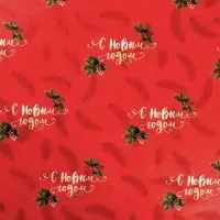 Упаковочная бумага на новый год глянцевая двусторонняя «Новогодние ветви», 70 х 100 см