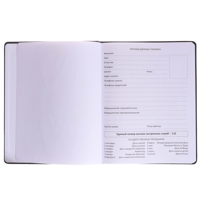 Дневник универсальный для 1-11 класса WOW, твёрдая обложка, искусственная кожа, тиснение фольгой, ляссе, 80 г/м2