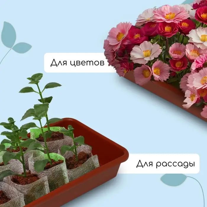 Ящик для рассады, 65&times;22&times;7.5 см, 9 л, пластик, МИКС