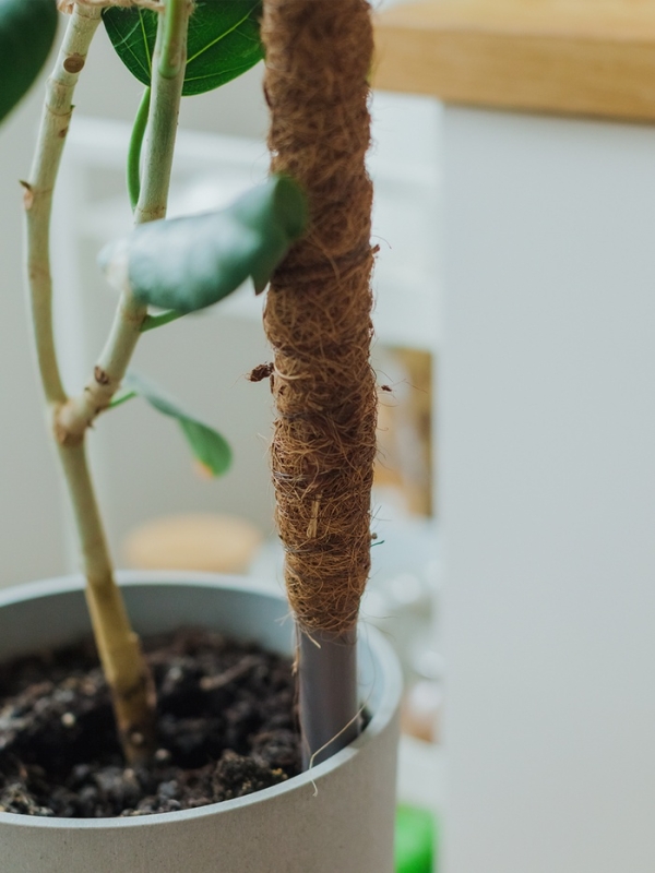 Опора для комнатнных цветов, h=120 см, d=2.5 см, пластик, кокосовая оплётка, Greengo Опора для комнатнных цветов, h=120 см, d=2.5 см, пластик, кокосовая оплётка, Greengo