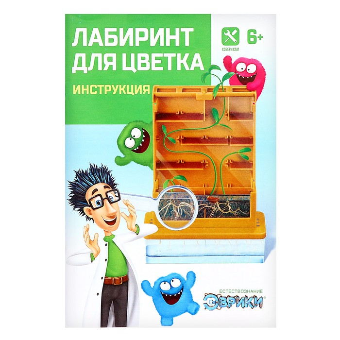 Набор для опытов «Лабиринт для цветка» Набор для опытов «Лабиринт для цветка»