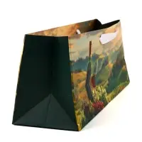 Пакет под бутылку &laquo;Подарок для тебя&raquo;, 36&times;10&times;13 см