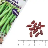 Семена Фасоль овощная &laquo;Хавская универсальная&raquo;, 5 г, ранняя, кустовая, зелёная, &laquo;Золотая Сотка Алтая&raquo;