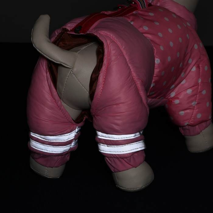 Комбинезон для собак Комбинезон для собак "Горошек", размер 18 (ДС 31, ОГ 46, ОШ 38 см), розовый