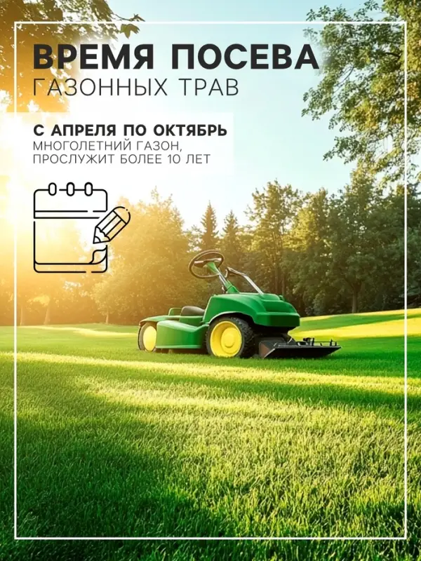 Газонная травосмесь &laquo;Теневыносливая&raquo;, 5 кг