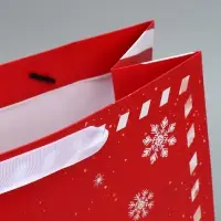 Набор пакетов ламинированных &laquo;Снежного Нового года&raquo;