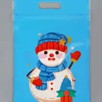 Пакет подарочный, с zip-lock застежкой, "Снеговик и его друзья", 15х22см МИКС Пакет подарочный, с zip-lock застежкой, "Снеговик и его друзья", 15х22см МИКС