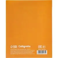 Тетрадь 24 листа в линейку Calligrata &laquo;Кошачьи мемы&raquo;, блок офсет, 5 В МИКС