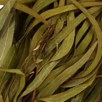 Веник для бани, эвкалиптовый, в еврослоте, &laquo;Добропаровъ&raquo;