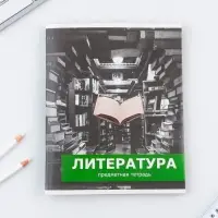 Тетрадь в линейку, предметная, 48 л.,на скрепке, А5 &laquo;ПРЕДМЕТЫ. Литература&raquo;