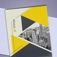 Тетрадь 48 листов в линейку Calligrata «Мегаполис», обложка мелованная бумага, блок №2, белизна 75% (серые листы), МИКС Тетрадь 48 листов в линейку Calligrata «Мегаполис», обложка мелованная бумага, блок №2, белизна 75% (серые листы), МИКС