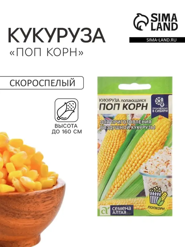 Семена Кукуруза лопающаяся &laquo;Поп Корн&raquo;, 5 г, &laquo;Семена Алтая&raquo;
