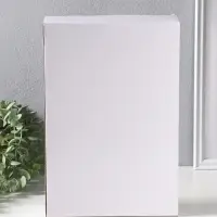 Сад Дзен "Будда у раскидистого дерева" песок+камни+аромапалочки 29,7х19,8х18 см