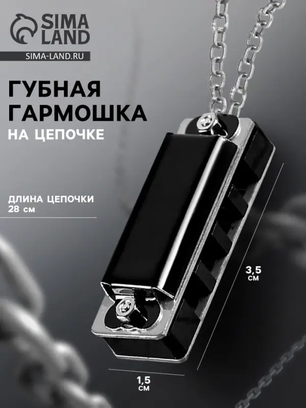 Губная гармошка Music Life 4 отверстия, 8 тонов, 3.5&times;1.5&times;1 см, цепь 28 см, черная