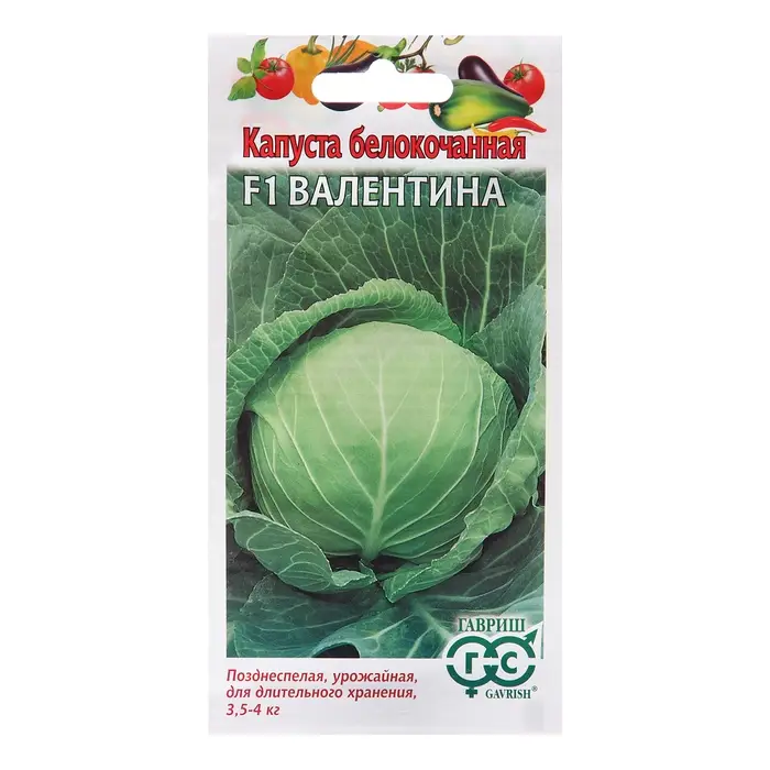 Семена Капуста белокоч. Семена Капуста белокоч. "Валентина", F1, 10 шт