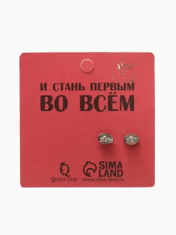 Серьги металл &laquo;Пусеты&raquo; стальные, линии, цвет серебро