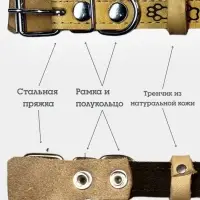 Ошейник, 45&times;2 см, с подкладом, тиснение, кожа, бежевый