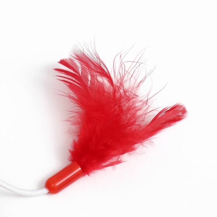 Игрушка для кошек с бубенчиком и перьями  Игрушка для кошек с бубенчиком и перьями "Вертолёт", шарик 3,8 см, красная