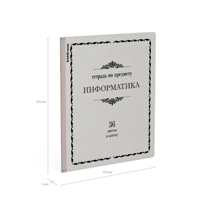 Тетрадь предметная Информатика, 36 листов в клетку, ErichKrause