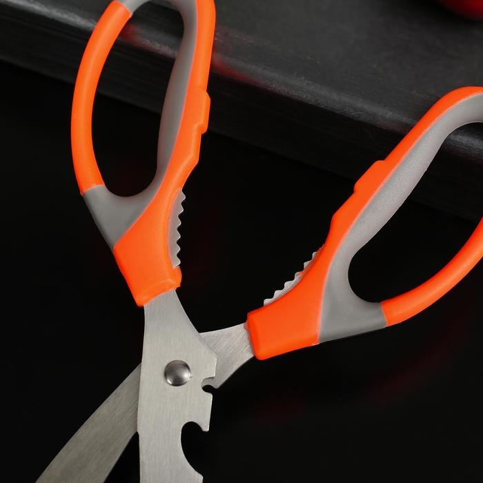 Ножницы кухонные Доляна «Драйв», 22 см, с открывалкой для бутылки, цвет МИКС Ножницы кухонные Доляна «Драйв», 22 см, с открывалкой для бутылки, цвет МИКС