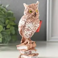 Фигурка гипс &laquo;Сова на книгах&raquo; коричневая, 14&times;6&times;6 см