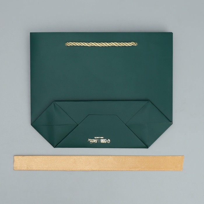 Пакет подарочный новогодний «Счастье в Новом Году», 14 х 17 х 7 см, Новый год Пакет подарочный новогодний «Счастье в Новом Году», 14 х 17 х 7 см, Новый год