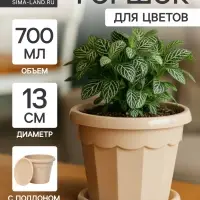 Горшок для цветов с поддоном Доляна &laquo;Эрика&raquo;, 0.7 л, цвет пудровый