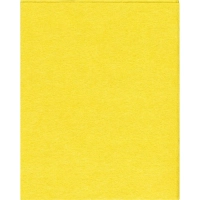 Салфетки хозяйственные Luscan Professional виск 90г/м2 30х38 5шт/уп желтые