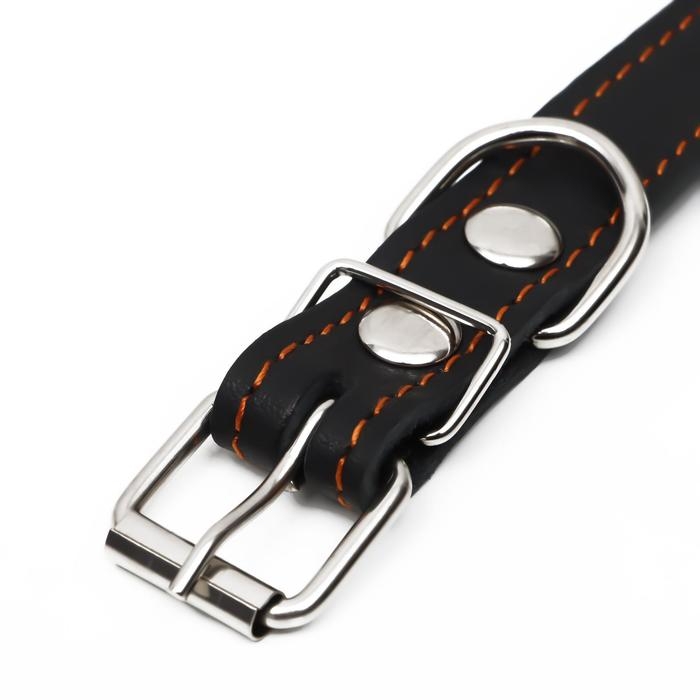 Ошейник кожаный на синтепоне, безразмерный, 54 х 2,5 см, ОШ 19-47 см, чёрный Ошейник кожаный на синтепоне, безразмерный, 54 х 2,5 см, ОШ 19-47 см, чёрный