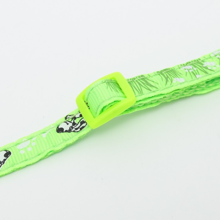 Ошейник Ошейник "Лето" с бубенчиком, 30 х 1 см, капрон, салатовый