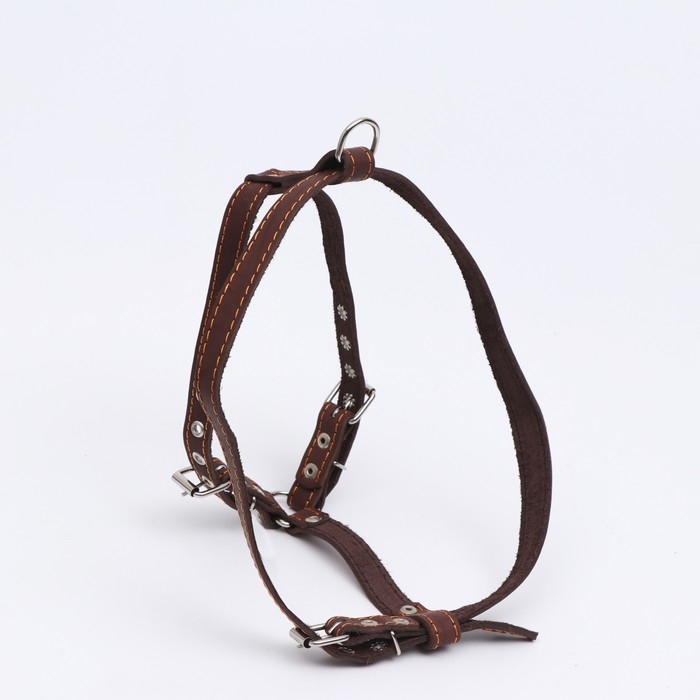 Шлейка кожаная Шлейка кожаная "Прогулочная", 2 см, ОШ 46-58 см, ОГ 78-85 см, коричневая