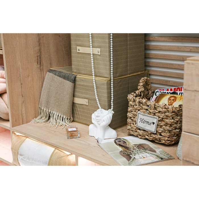 Короб стеллажный для хранения с крышкой Доляна «Гусиная лапка», 40×30×25 см, цвет бежевый Короб стеллажный для хранения с крышкой Доляна «Гусиная лапка», 40×30×25 см, цвет бежевый