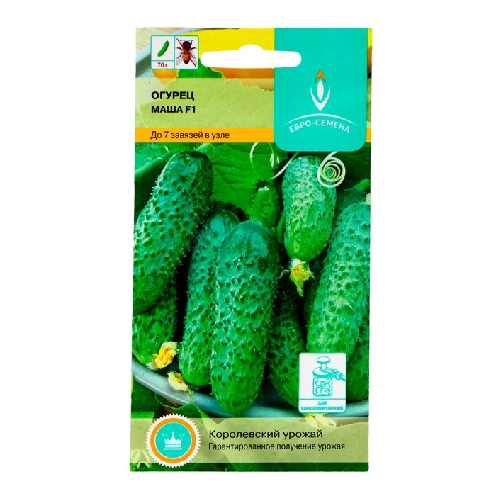 Семена Огурец  Семена Огурец "Маша" F1, партенокарпический, 5 шт.