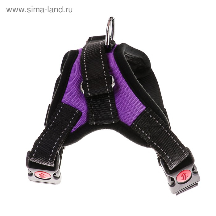 Шлейка К7 мягкая светоотражающая, размер М, ОГ 52-66 см, вес 9,5-17,5 кг, фиолетовая Шлейка К7 мягкая светоотражающая, размер М, ОГ 52-66 см, вес 9,5-17,5 кг, фиолетовая