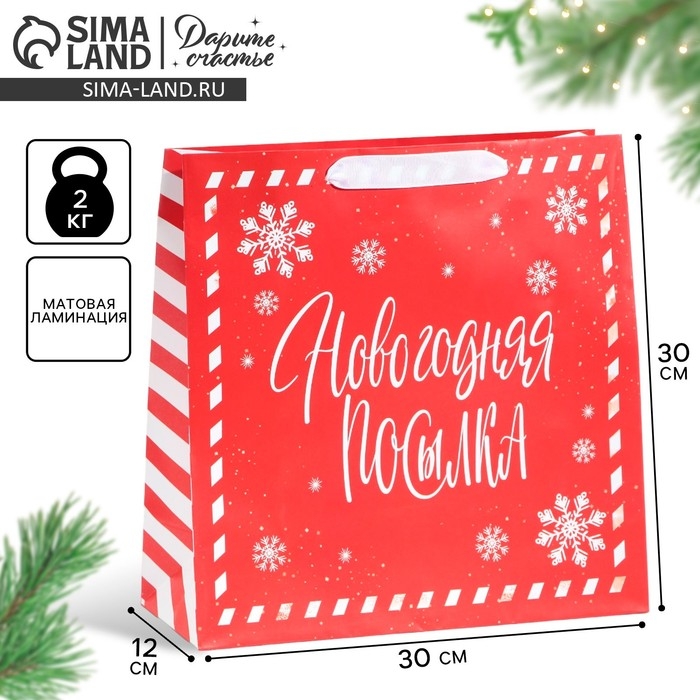 Пакет подарочный новогодний ламинированный квадратный «Новогодняя посылка», 30 х 30 х 12 см, Новый год Пакет подарочный новогодний ламинированный квадратный «Новогодняя посылка», 30 х 30 х 12 см, Новый год